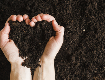 Organic Farming