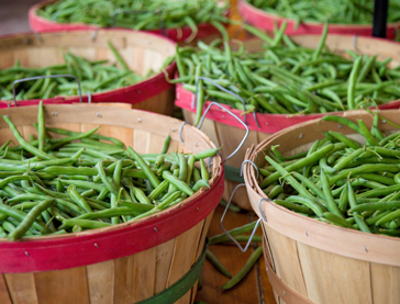 Vegetables